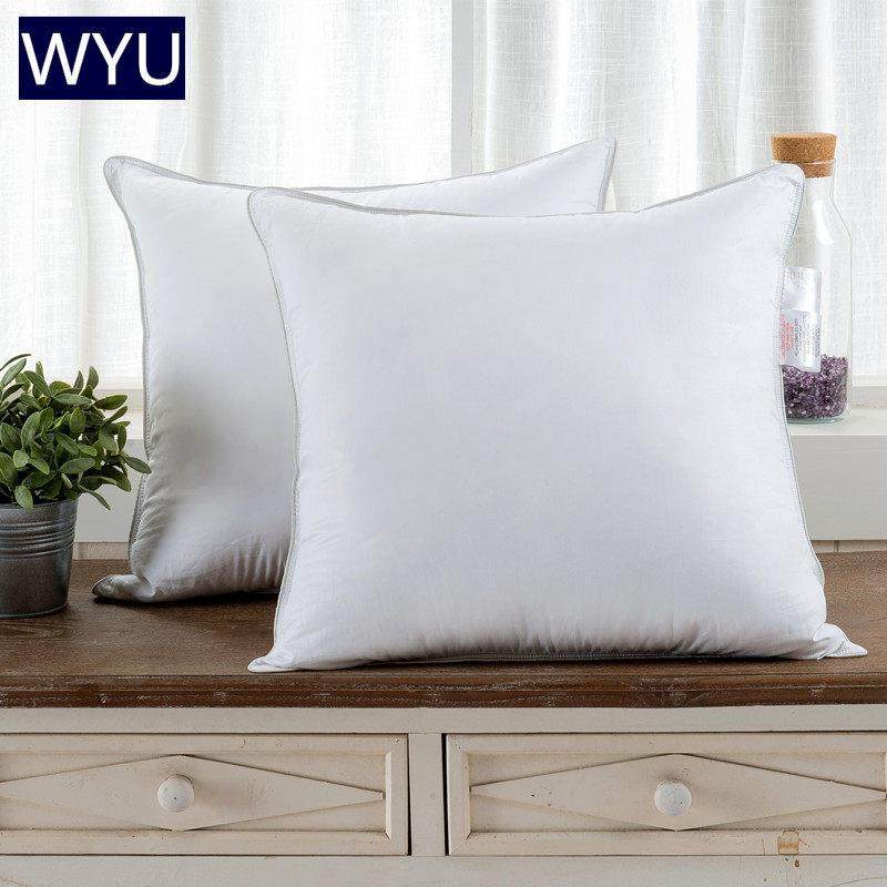 德国进口95埃姆登白鹅绒抱枕芯羽绒靠枕靠垫靠背芯沙发床上506065,床上用品,枕头/枕芯,淘宝优惠券,粉丝福利购,淘宝优惠卷