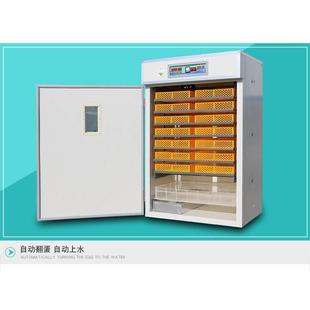 全自动小鸡孵化器出雏机 厂家直营工业孵化机 源鑫家用小型孵蛋机