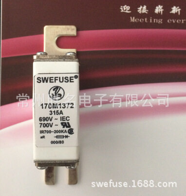 台湾品质代替Bussmann保险丝 170M1309 16A 690V~700V快断熔断器
