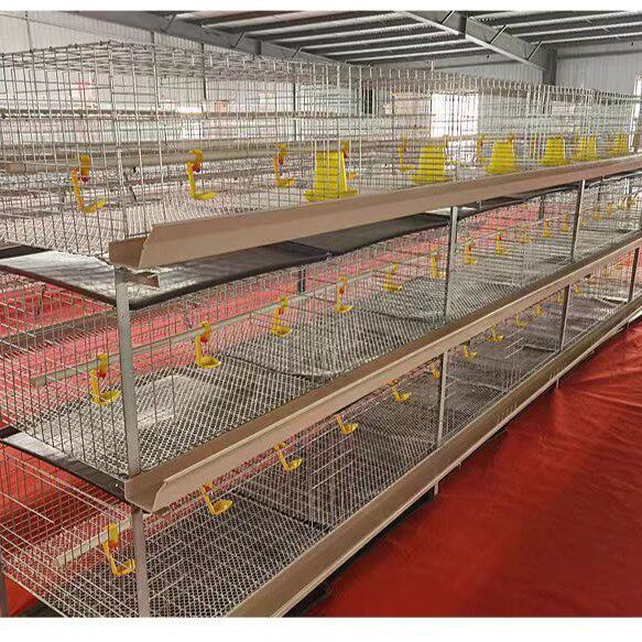肉鸡笼镀锌防锈养殖设备雏肉两用鸡笼立式框架式鸡笼