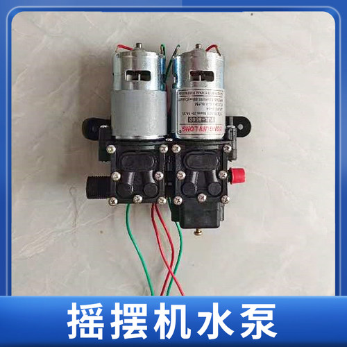 鱼塘打药机配件摇摆机洒药机摇摆电机虾蟹塘喷药机12V水泵电机