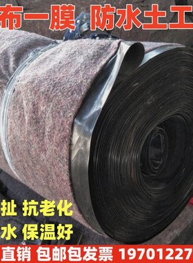 一布一膜防水土工布防渗膜毛毡工程布养殖大棚保温土工布防寒棉毡