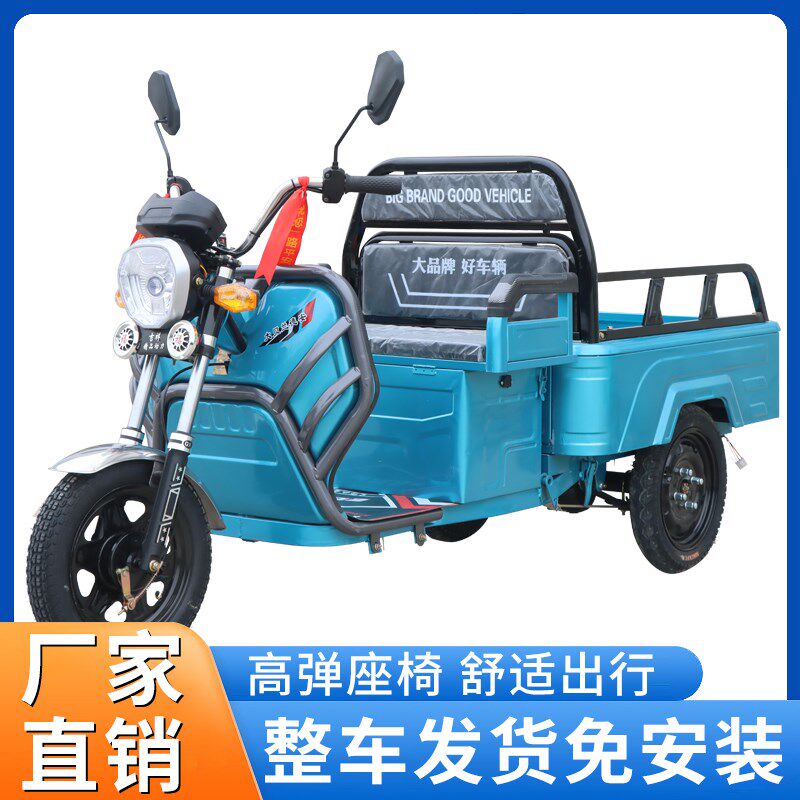 电动三轮车成人i小型老人迷你接送孩子货车拉货老年步车三轮新款