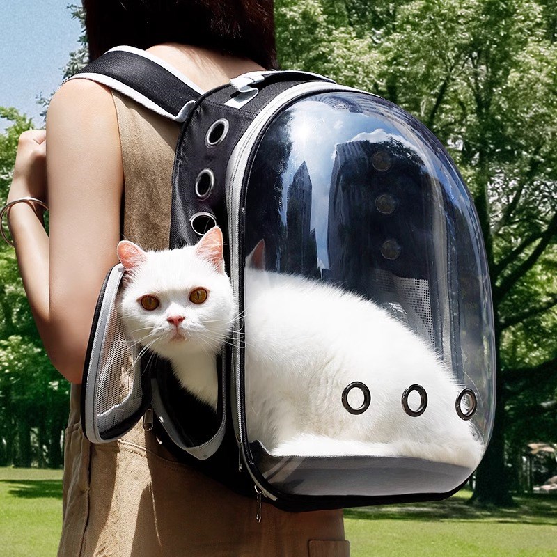 猫包外出便携猫背包宠物太空舱包狗狗双肩包大容量书包装猫咪用品
