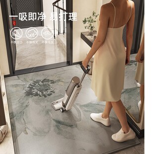 入户门地垫门外进门门口高级感玄关地毯家用防滑耐脏脚垫免洗垫子