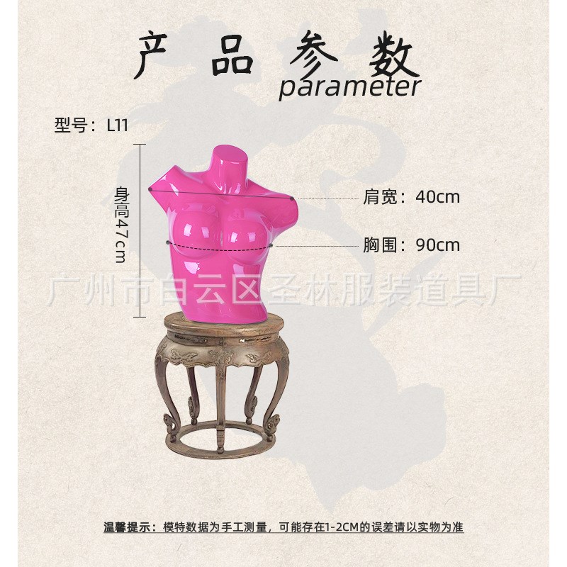 内衣文胸模特道具女半身胸模内衣泳衣展示彩色塑料假人模特模型
