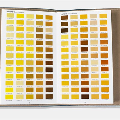 2020b新品加315色 PANTONE彩潘通国际标准服装纺织TCX色卡FHIC200