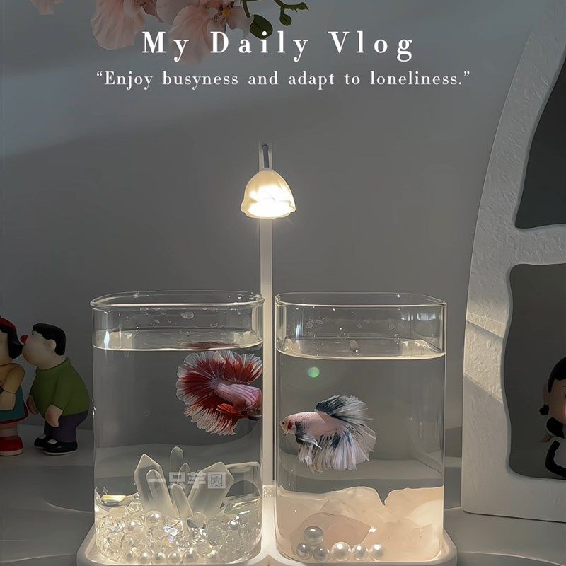 斗鱼专用鱼缸高颜生态玻璃双缸客厅桌面摆件卧室氛围感夜灯装饰