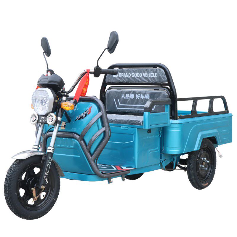 电动三轮车成人小型老人迷你接送孩子货车拉货老年步车三轮新款