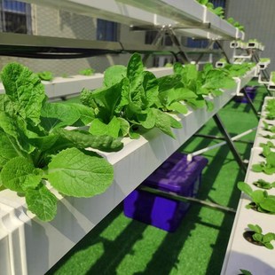 NFT无土栽培蔬菜草莓种植A字架水培设备阳台管道种菜机源头工厂家