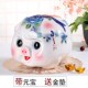 陶瓷猪储蓄罐超大号猪钱币硬币存钱灌 家用创意生日礼品开业家居