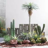 沙生植物造景仙人柱龙舌兰彷真绿色植物组合景观楼梯角咖啡厅走廊