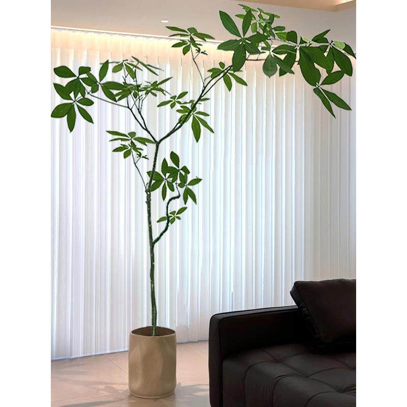 原生发财树大型盆栽招财室内客厅绿植开业乔迁送礼四季常青好养,鲜花速递/花卉仿真/绿植园艺,大型绿植/成品组合盆栽,淘宝优惠券,粉丝福利购,淘宝优惠卷