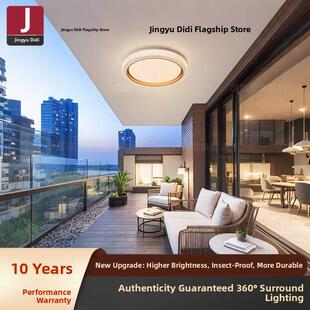 2025新型防蚊超亮室外吸顶灯庭院吸顶灯室外走廊过道灯