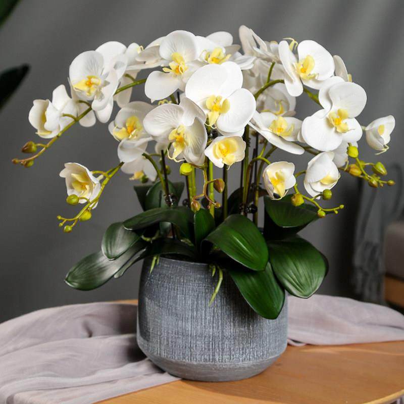 高档蝴蝶兰仿真花艺摆件餐桌客厅电视柜盆栽装饰假花兰花套装摆设,家居饰品,仿真花/假花,淘宝优惠券,粉丝福利购,淘宝优惠卷