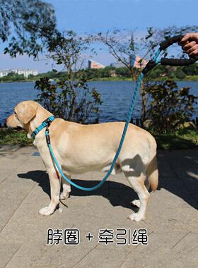 德国Kgl宠物皮带拉布拉多金毛猎犬防爆狗皮带小，中，大狗领狗皮