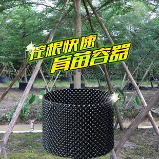 控根器 工厂直销控根容器 景观树围栏植树育苗器围土栏园林绿化
