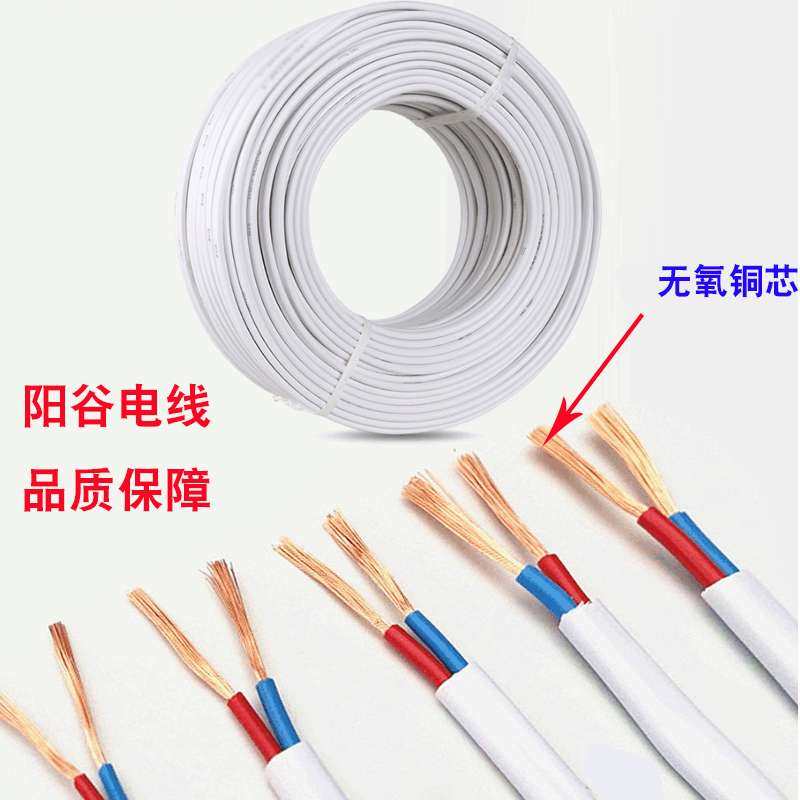 厂家供应阳谷电线RVV护套线2*2.5平方铜芯家装用两芯护套电源线,电子/电工,护套线,淘宝优惠券,粉丝福利购,淘宝优惠卷