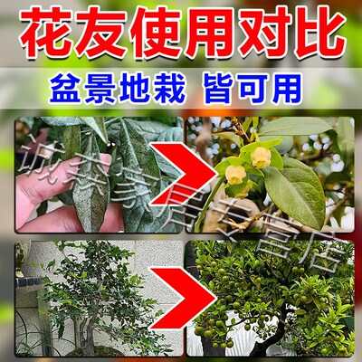 金弹子授粉药保花保果防落果专用盆景挂果生根粉化肥养花通用肥料