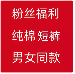 新款 刺绣男女同款 精梳棉短裤 五分裤