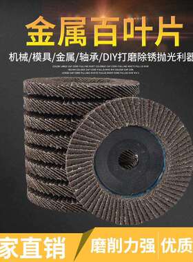 j8砂布片轮砂纸10抛光片牌轮打磨百页百叶片加厚型FR轮平面g3