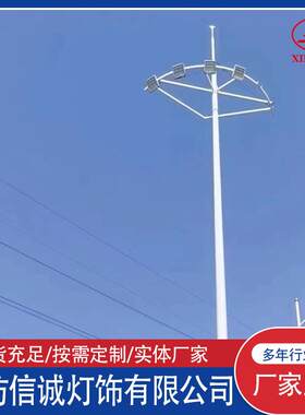 LED高杆灯户外路灯杆 20米25米30米35米双升降LED路灯 球场照明灯