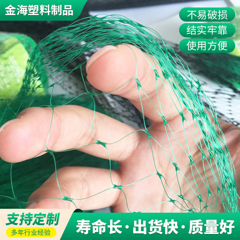 扎带植物网罩水果蔬菜园艺防虫网 水产养殖网植物爬藤塑料园林网
