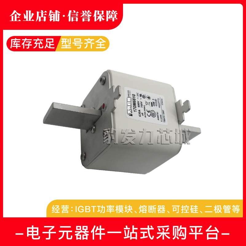 170M6716 170M6717 170M6718 170M6719 170M6720 170M6721熔断器