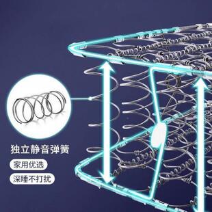 弹簧垫厚床20c家用胶ENM1.8mm双人床垫软硬两用椰乳棕床垫