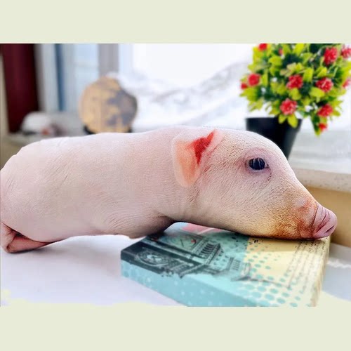 创意3D仿真猪抱枕玩偶可爱趴趴