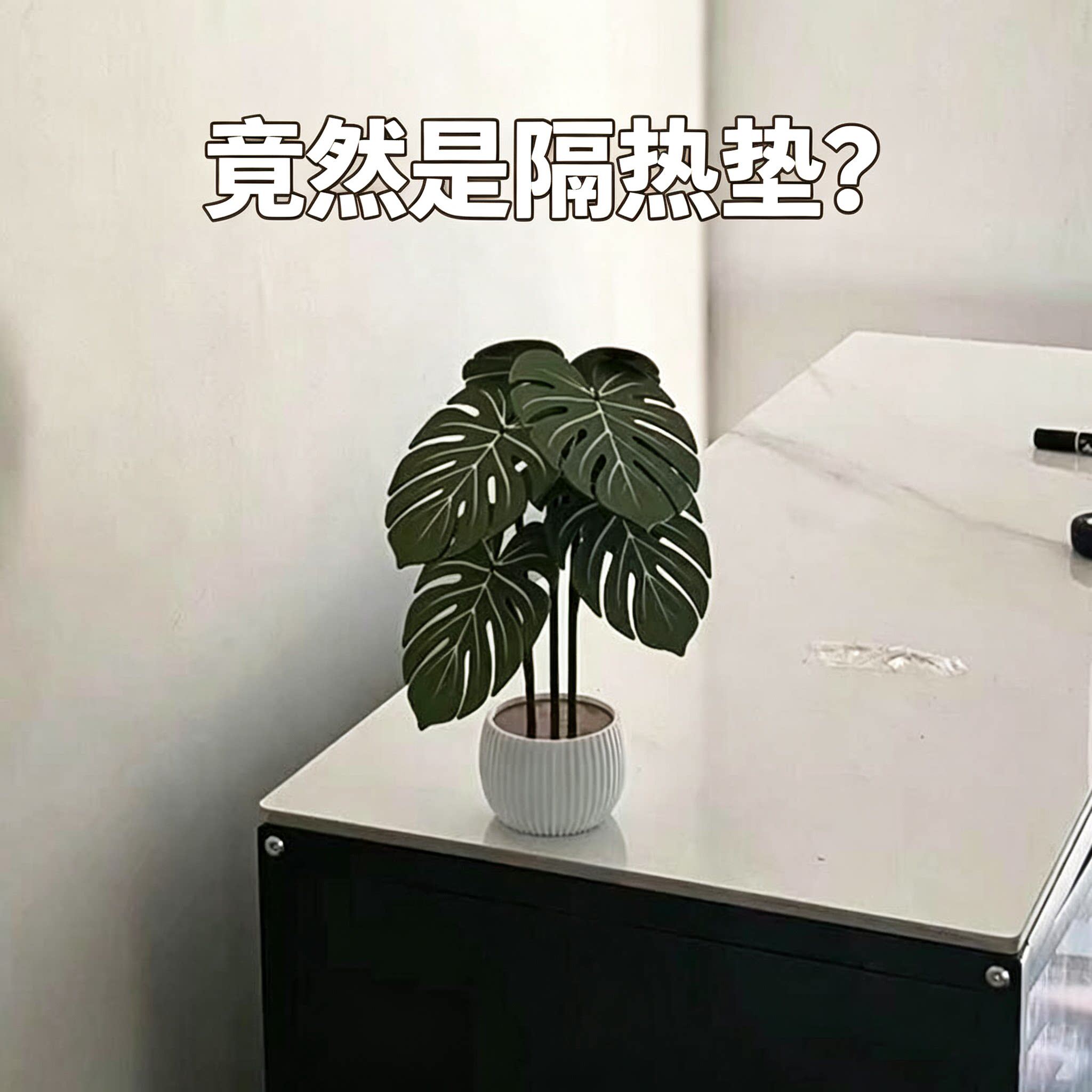 龟背竹防烫垫桌垫隔热垫耐高温餐桌杯垫锅垫创意个性仿真绿植摆件