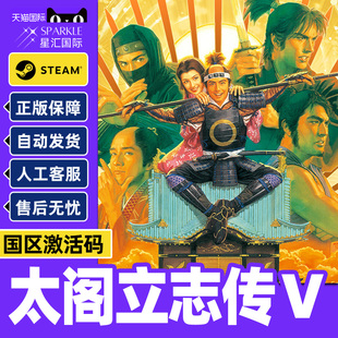 CDK正版 DX国区激活码 PC游 RisshidenV Steam太阁立志传ⅤTaiko