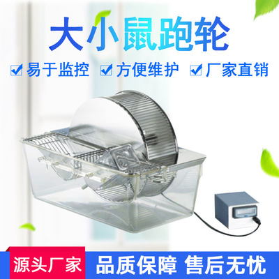 大鼠跑轮实验室电动两用自主跑轮全封闭可计跑动轮周数小鼠跑轮