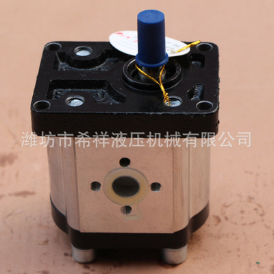 液压齿轮泵SDH CBTt-F304 306 310 314 316 320 325F3P7L