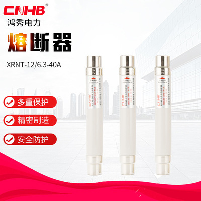 鸿秀10KV负荷开关用熔断器XRNT-12/6.3-40A高压高分段能力熔断器