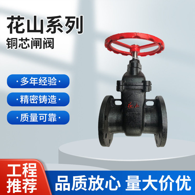 江苏花山法兰球铁硬密封闸阀 Z45T-16Q铜芯密封DN50 65 80 100
