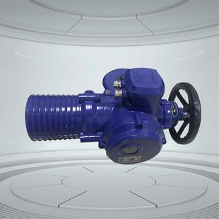 450Nm隔爆型多回转电动装置DZW45-24W/Z/TZ45-24W/Z/T伯纳德