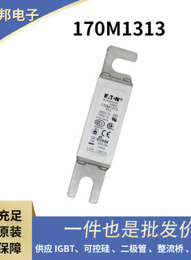 170M7138 170M7139 170M7140 170M7141原装高压熔断器 熔芯