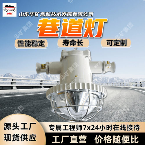 故障报警巷道灯 皮实耐用巷道灯 DJS56/127L(A)巷道灯