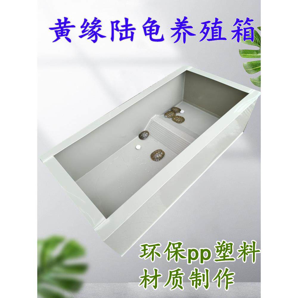 pp塑料黄缘养殖箱陆龟半水龟箱家用黄缘造景养龟箱水陆两用养龟缸