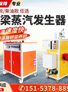 桥梁混凝土蒸汽发生器 T梁箱梁养护蒸汽机 36kw48kw全自动蒸养机