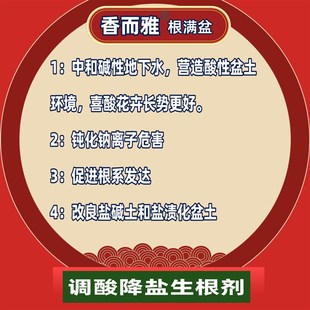 香而雅根满盆 降盐生根 调酸 喜酸花卉 绿植盆栽 农用