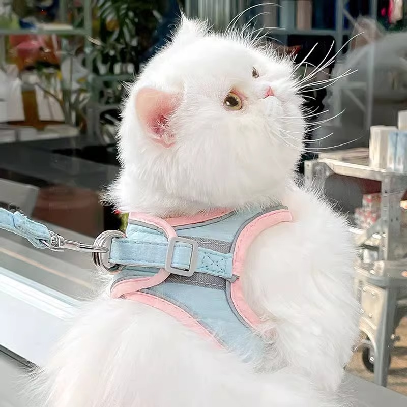 猫咪牵引绳外出防挣脱溜猫绳可爱背心式胸背带猫链子狗狗猫咪