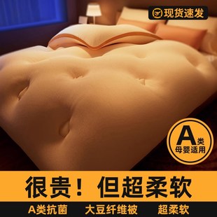 NOME大豆纤维春秋被子被芯四季 加厚棉被 通用单人被芯150x200冬季