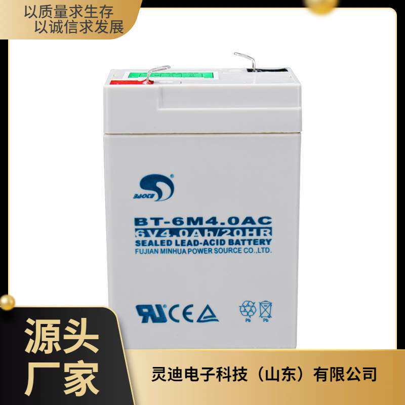 赛特BT-6M4.0AC铅酸蓄电池电子秤6V4Ah吊称儿童电动玩具车6伏电瓶