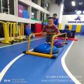 儿童体适能训练器材感统教具后空翻辅助幼儿园跳马平衡木组合软体