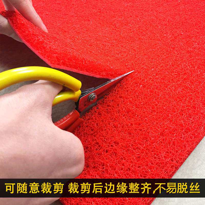 门口迎宾红地毯 PVC塑料 室外加厚楼梯走廊进门丝圈地垫