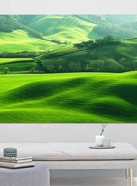 大草原草坪风景i画绿色护眼卧室书房宿舍装饰画草地背景墙壁画自