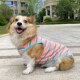宠物衣服秋冬背心柯基泰迪柴犬加厚D保暖条纹网红新款 狗狗猫咪衣