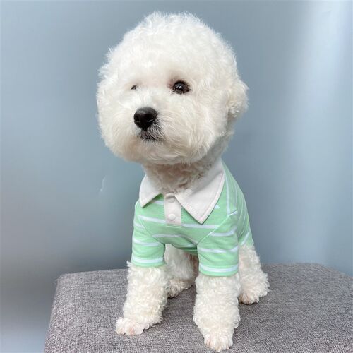 宠物狗服装纸样大中小型犬衣服图纸两脚T恤poOlo模版柯基衣服样版